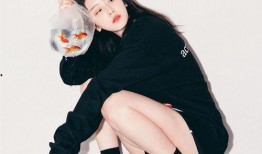 赵小棠娱乐爆料,揭秘娱乐圈幕后故事