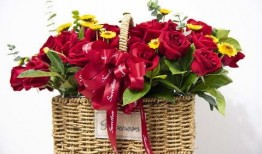 花篮网爆料最新网站下载,最新网站下载背后的秘密与趋势